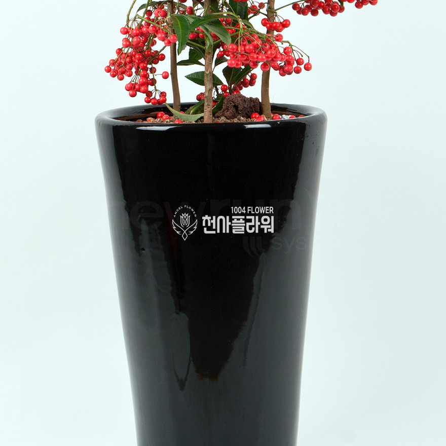 상세이미지