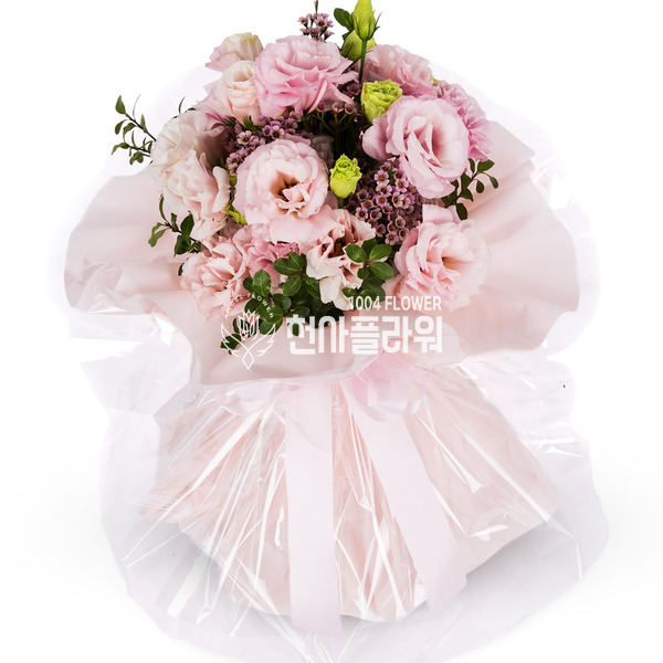 핑키이미테이션