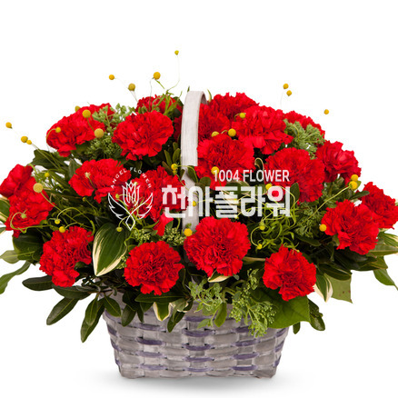 카네이션바구니 301s