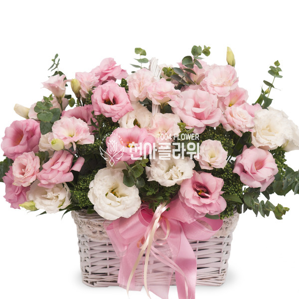 핑크리시안바구니