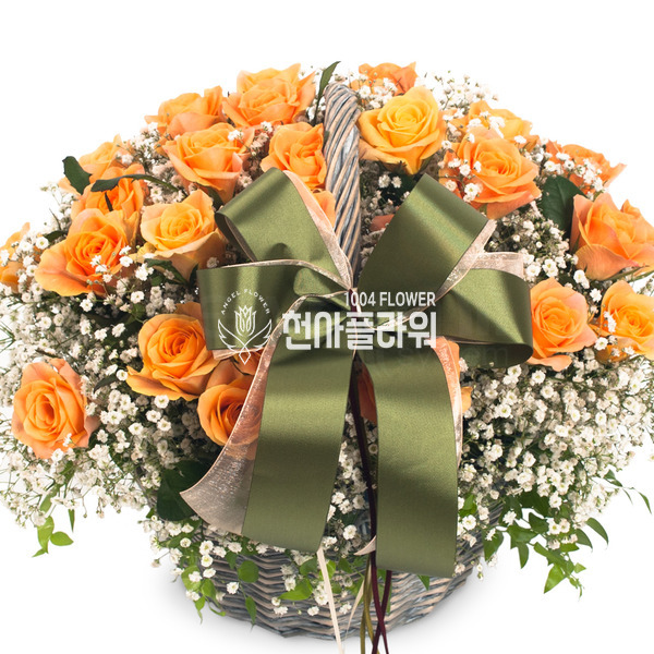 엘로 3호