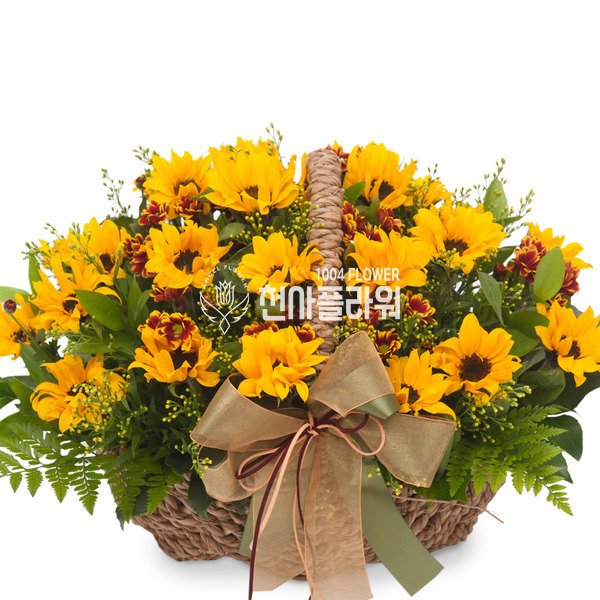 해바라기4