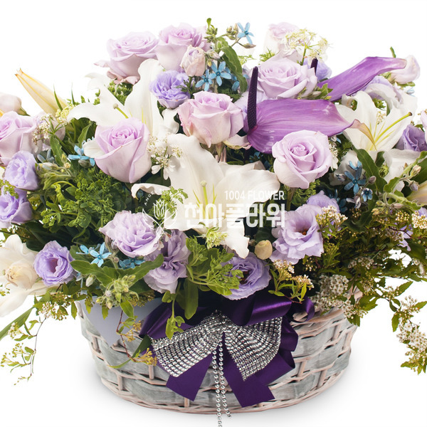 흐린날의오후