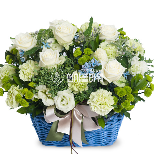 화이트/블루