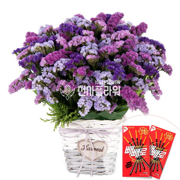 혼합스타치스