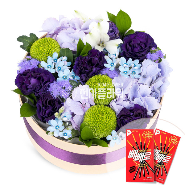 큐티퍼플 +빼빼로2개무료증정