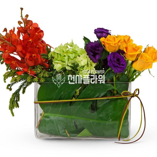러브러브