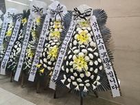 나유*님 앞으로 배송된 상품입니다.