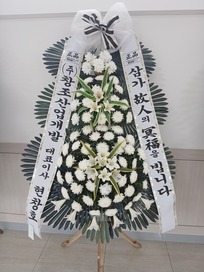 강영*님 앞으로 배송된 상품입니다.